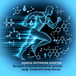 Impacts of aqueous testosterone suspension on energy metabolism during exercise